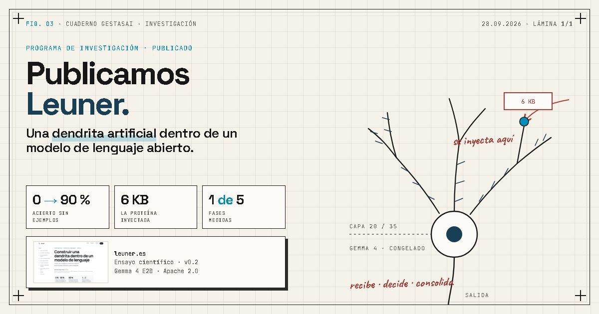 Lámina técnica de Leuner: una dendrita dibujada a tinta con la proteína de 6 KB inyectada en la capa 20 de 35